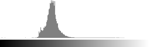 trieste gamma value=2.5 histogram